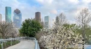 Professional padel court construction services in Houston, TX - Padel Court Builders of Houston serving the local area with quality court installation